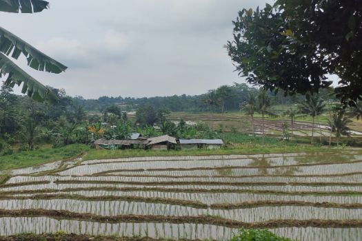 Limbangan Heritage: Jasa & Layanan yang Membangun Masa Depan Cilacap